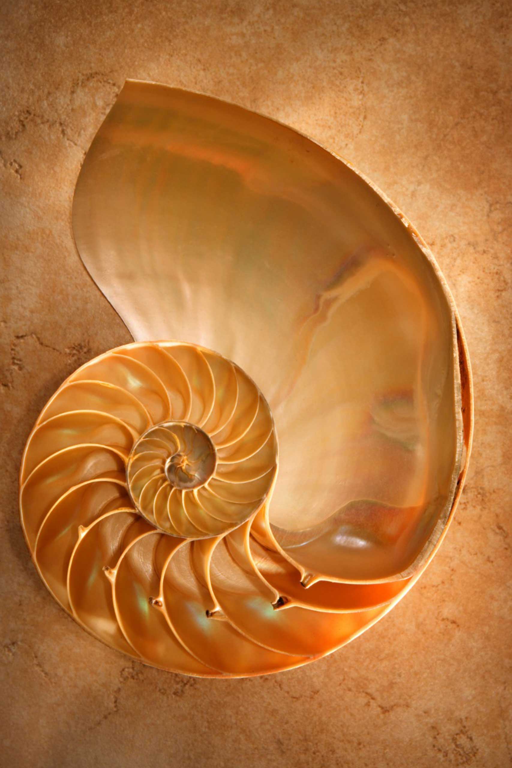 photo-16-scaled